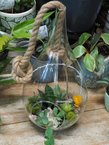Jardin en bulle -gros format-