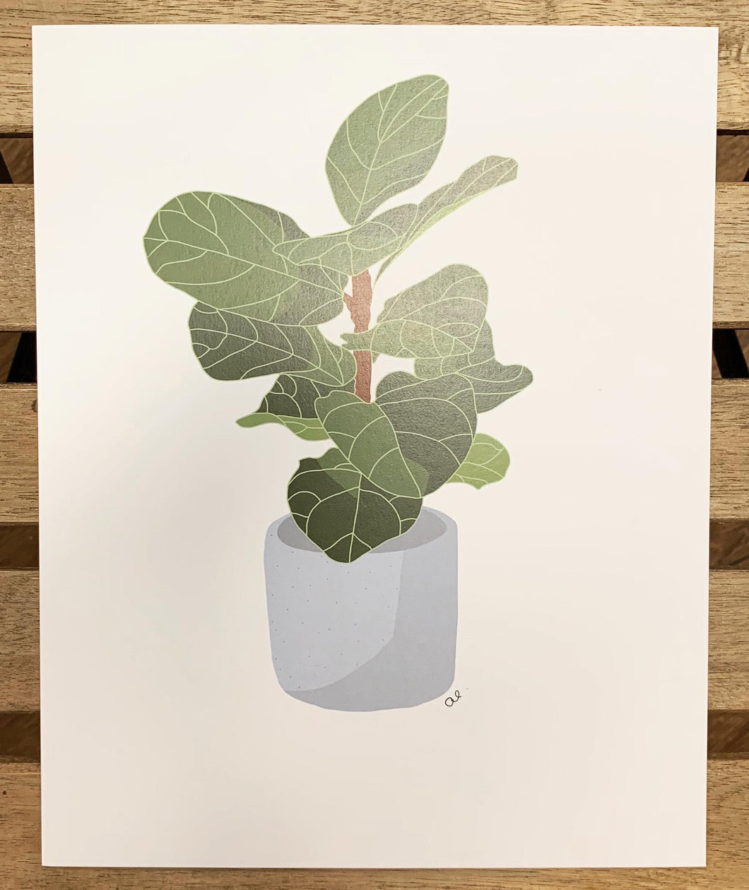 Ficus Lyrata par Alexandra Collin (8'' x 10'')